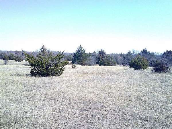 11 Acres of Agricultural Land for Sale in Chico, Texas