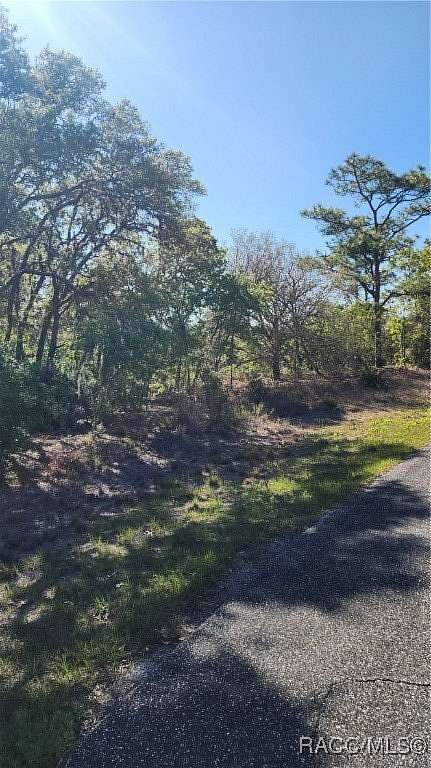 0.3 Acres of Residential Land for Sale in Dunnellon, Florida