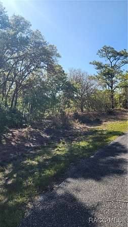 0.3 Acres of Residential Land for Sale in Dunnellon, Florida