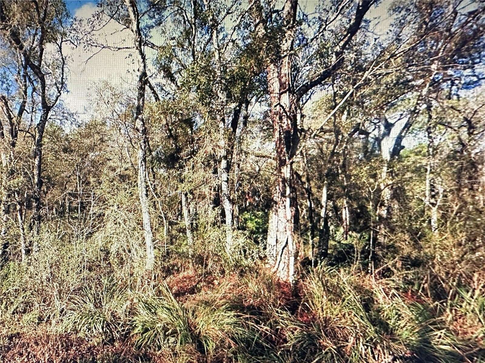 1.13 Acres of Land for Sale in Webster, Florida