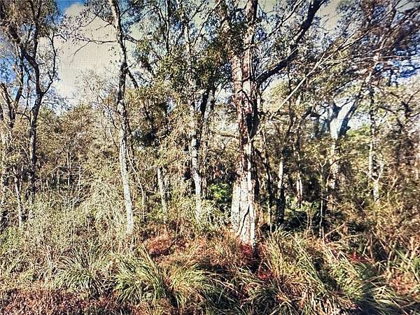 1.13 Acres of Land for Sale in Webster, Florida