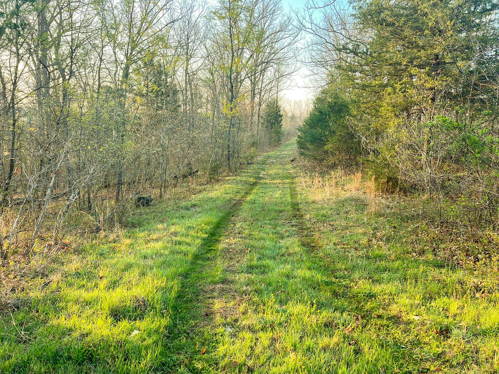 82.6 Acres of Recreational Land for Sale in Grubville, Missouri