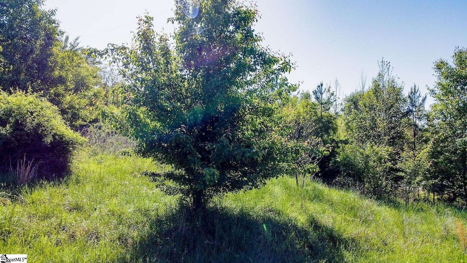 0.97 Acres of Residential Land for Sale in Anderson, South Carolina