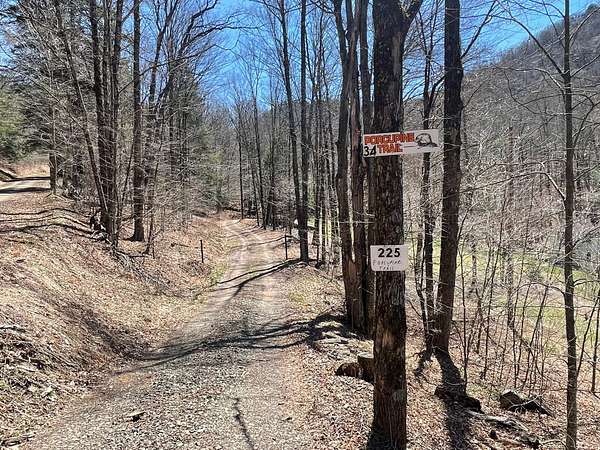 23 Acres of Recreational Land for Sale in Austin, Pennsylvania