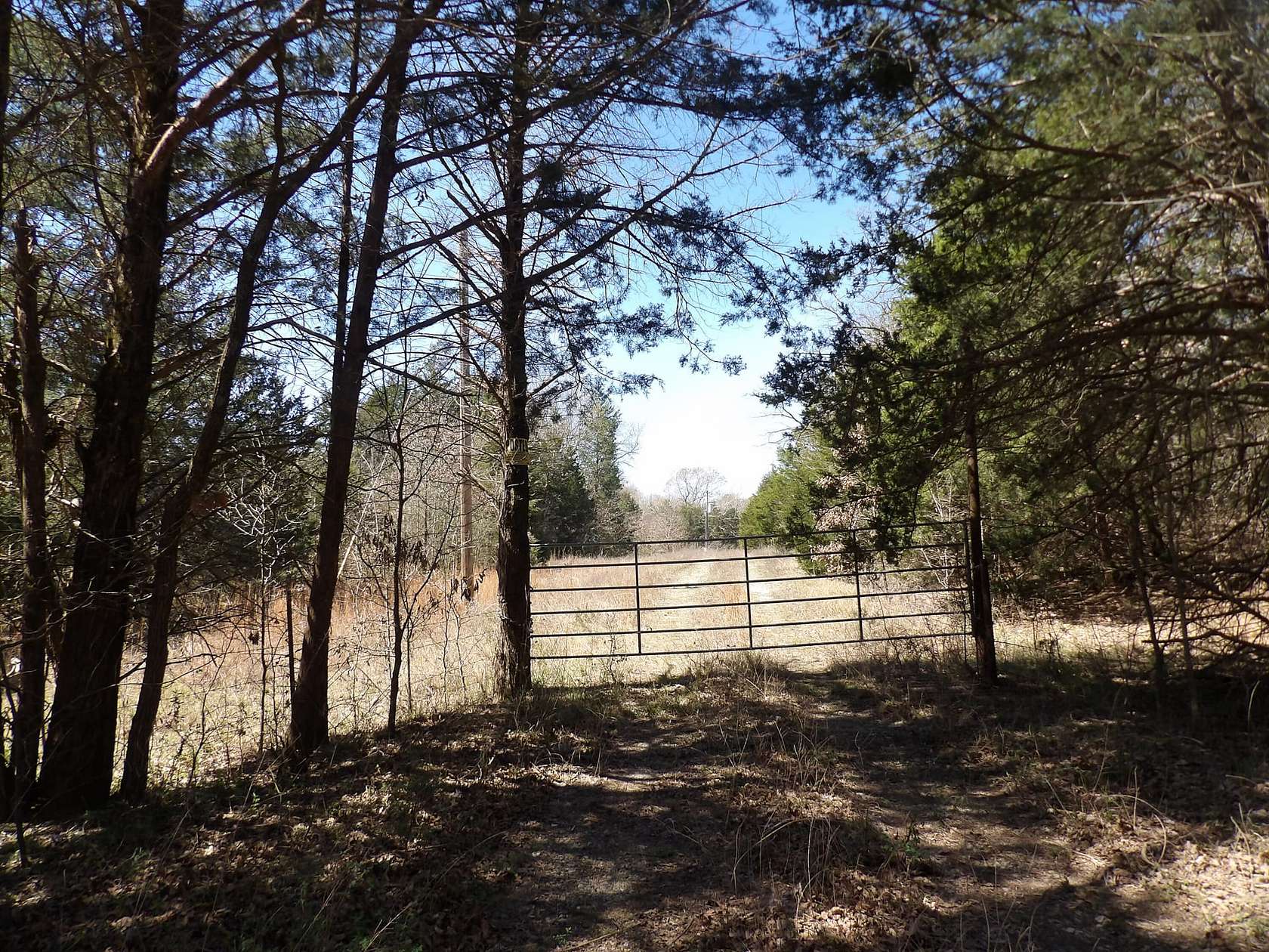 80 Acres of Recreational Land for Sale in Atoka, Oklahoma