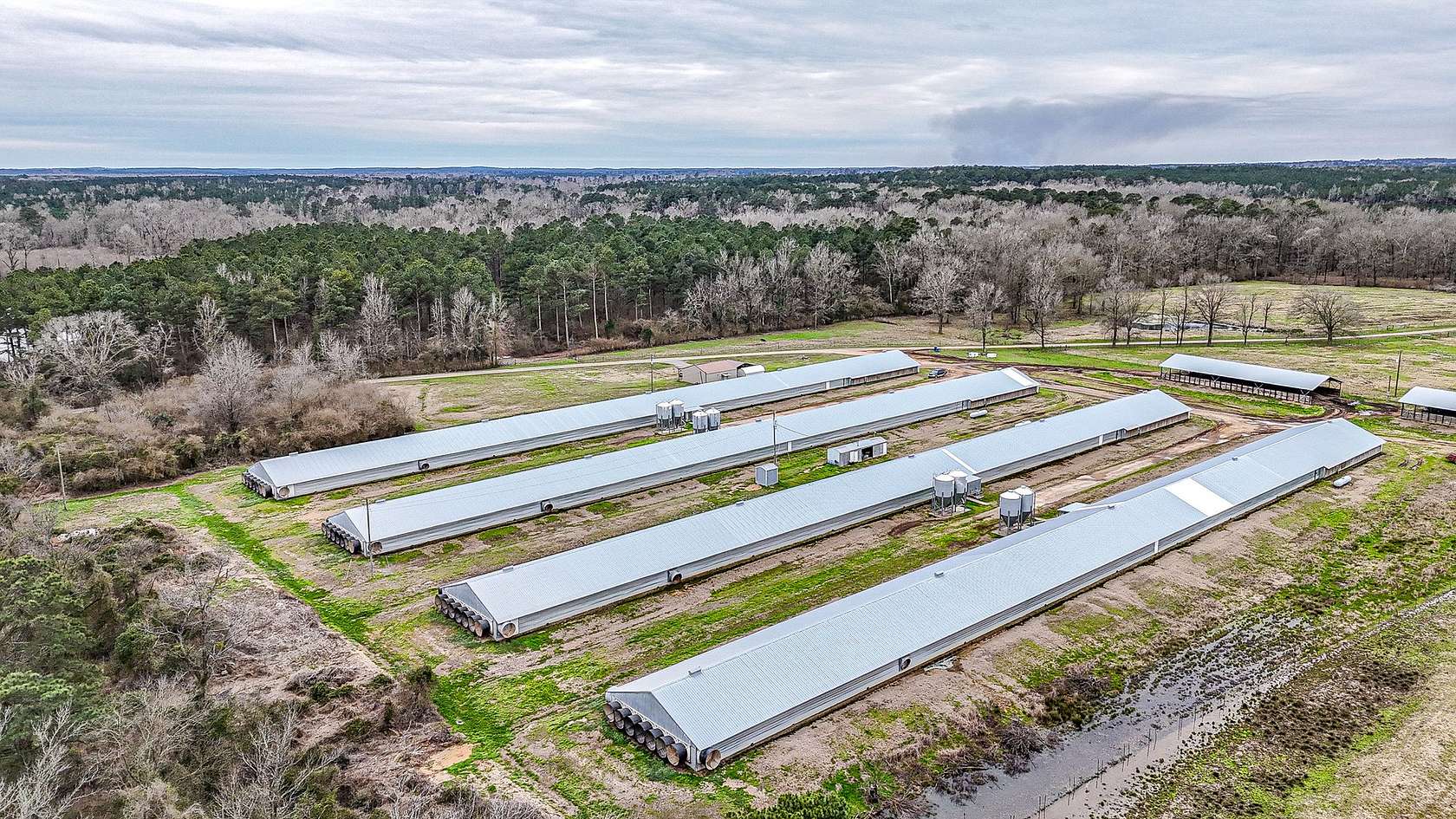 11 Acres of Agricultural Land for Sale in Gibsland, Louisiana