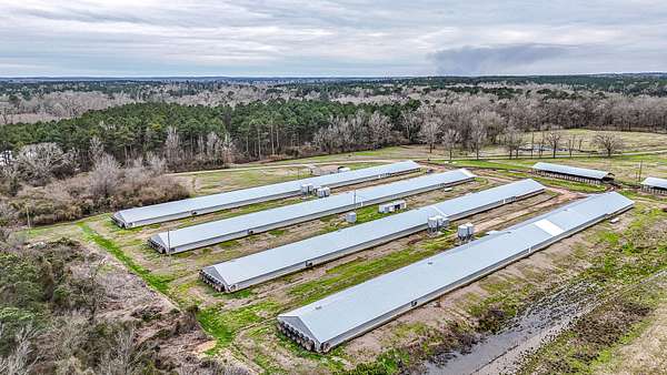 11 Acres of Agricultural Land for Sale in Gibsland, Louisiana