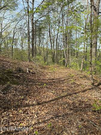 2 Acres of Residential Land for Sale in Vonore, Tennessee