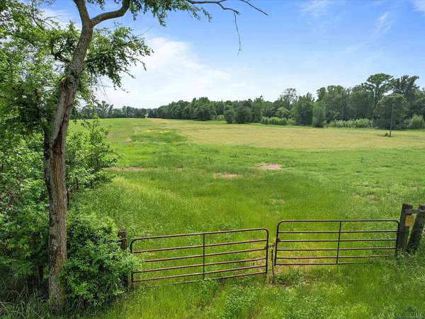 38.8 Acres of Recreational Land & Farm for Sale in Gilmer, Texas