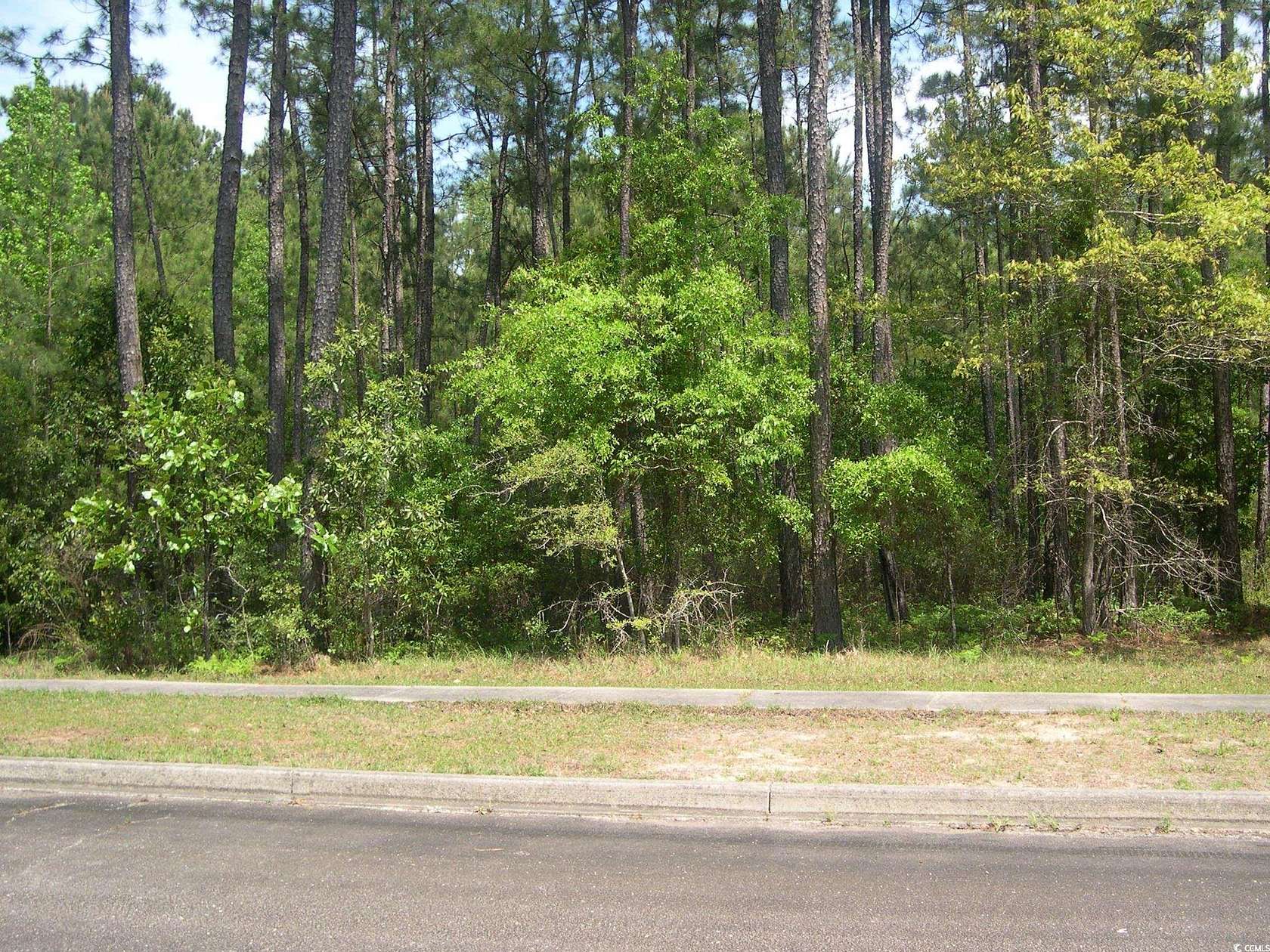 0.16 Acres of Residential Land for Sale in Georgetown, South Carolina