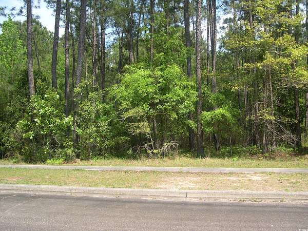0.16 Acres of Residential Land for Sale in Georgetown, South Carolina