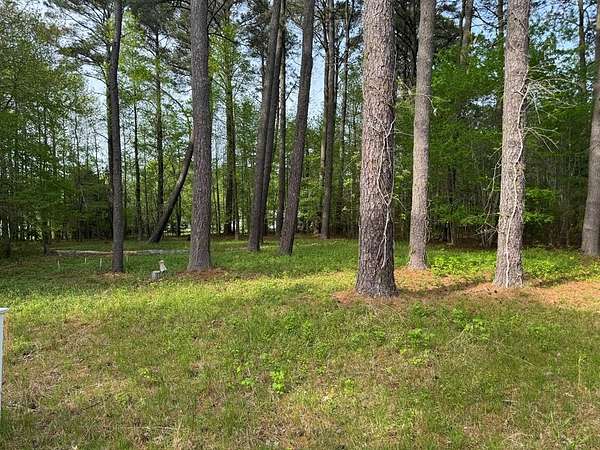 0.52 Acres of Residential Land for Sale in Melfa, Virginia