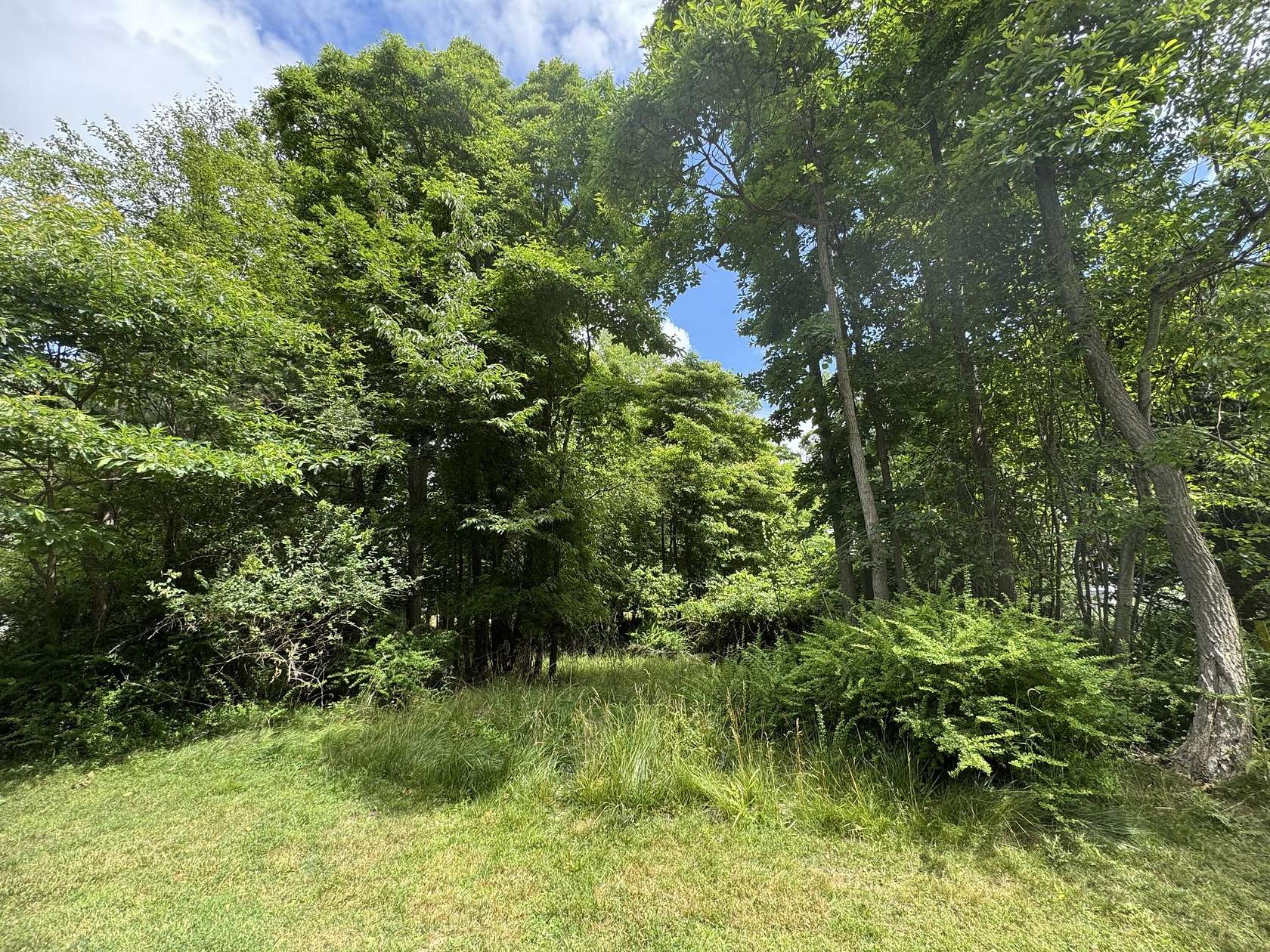 0.23 Acres of Land for Sale in Douglas, Michigan