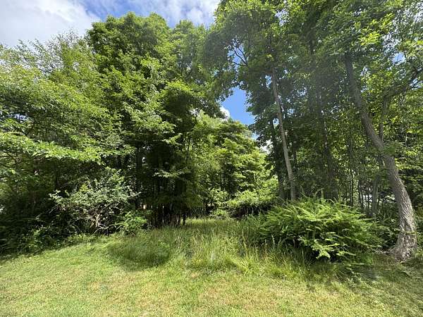 0.23 Acres of Land for Sale in Douglas, Michigan