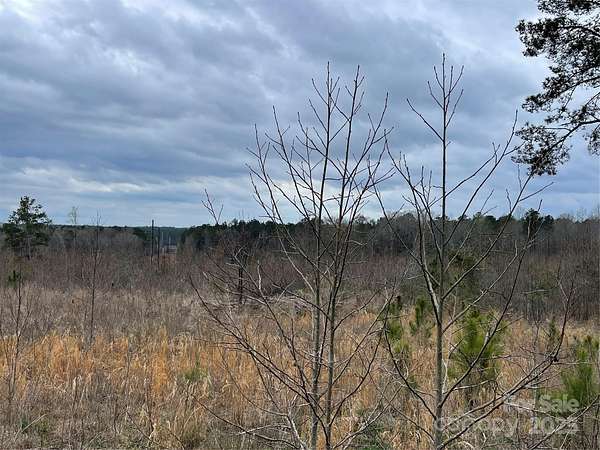 91.7 Acres of Recreational Land for Sale in Kershaw, South Carolina