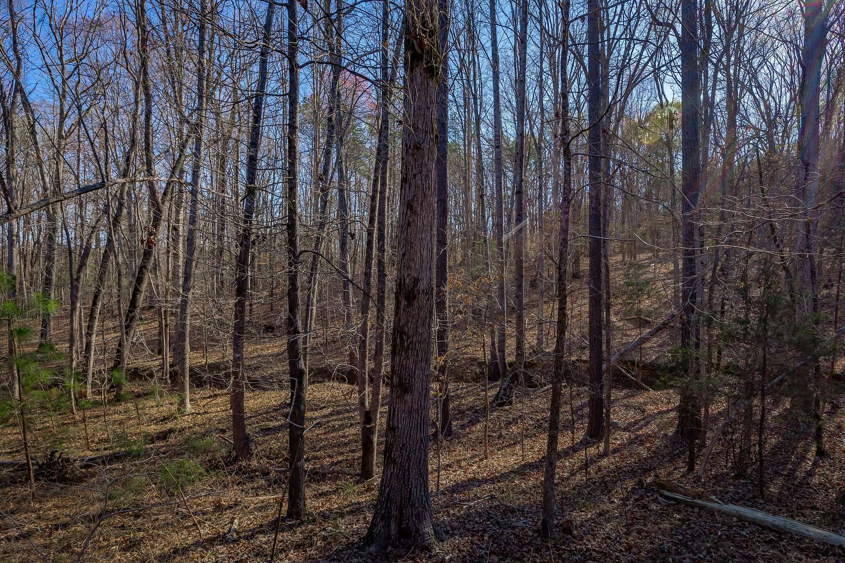 60 Acres of Recreational Land for Sale in Chester, South Carolina
