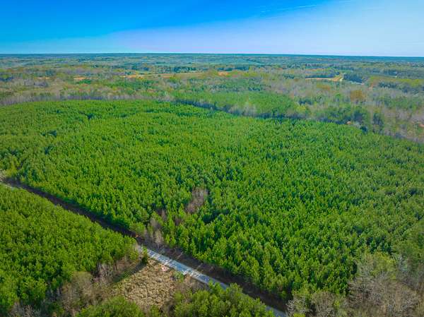 60 Acres of Recreational Land for Sale in Chester, South Carolina