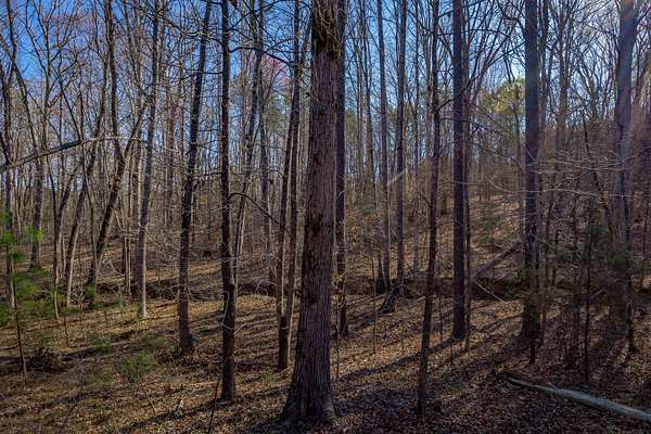 60 Acres of Recreational Land for Sale in Chester, South Carolina
