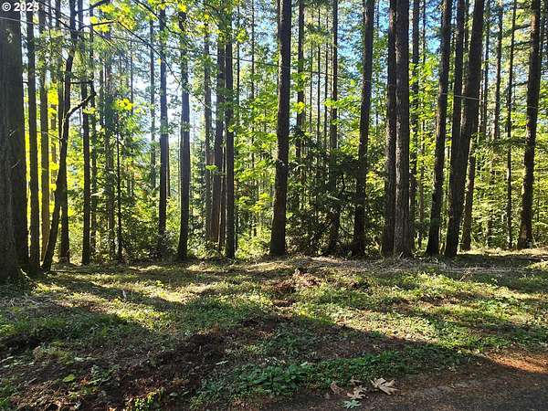 5 Acres of Residential Land for Sale in Hillsboro, Oregon