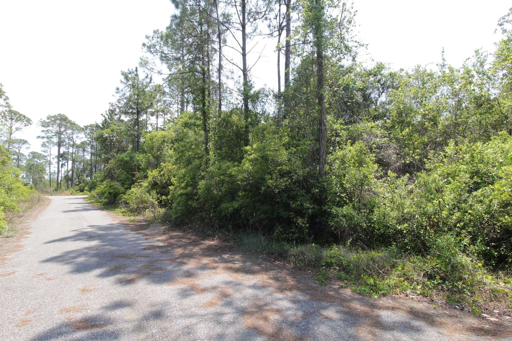 1.12 Acres of Residential Land for Sale in Carrabelle, Florida