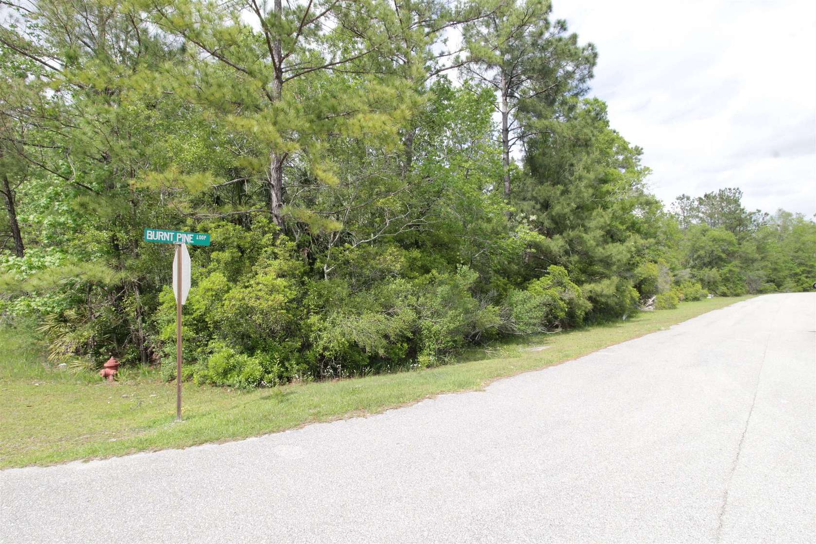 0.75 Acres of Residential Land for Sale in St. Marks, Florida