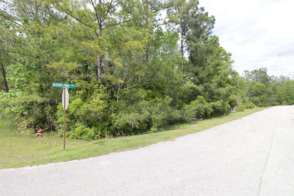 0.75 Acres of Residential Land for Sale in St. Marks, Florida