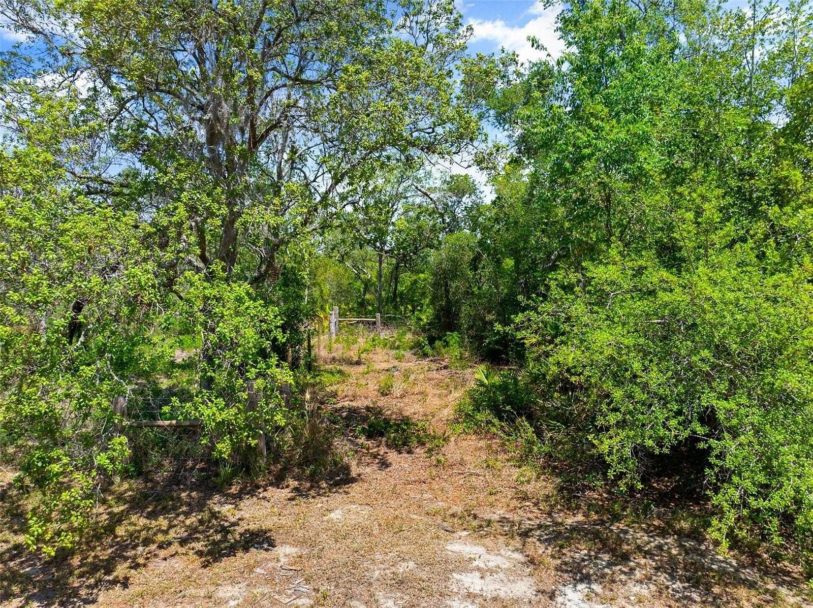 5 Acres of Agricultural Land for Sale in Umatilla, Florida
