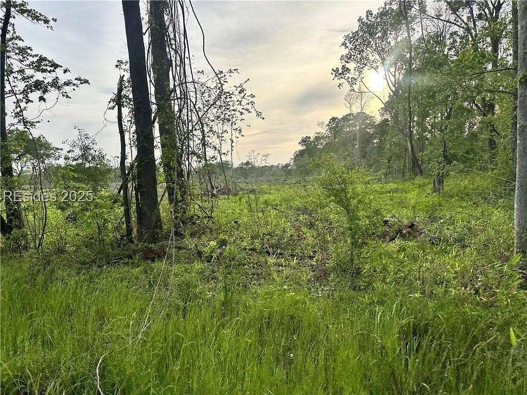 Land for Sale in Ridgeland, South Carolina