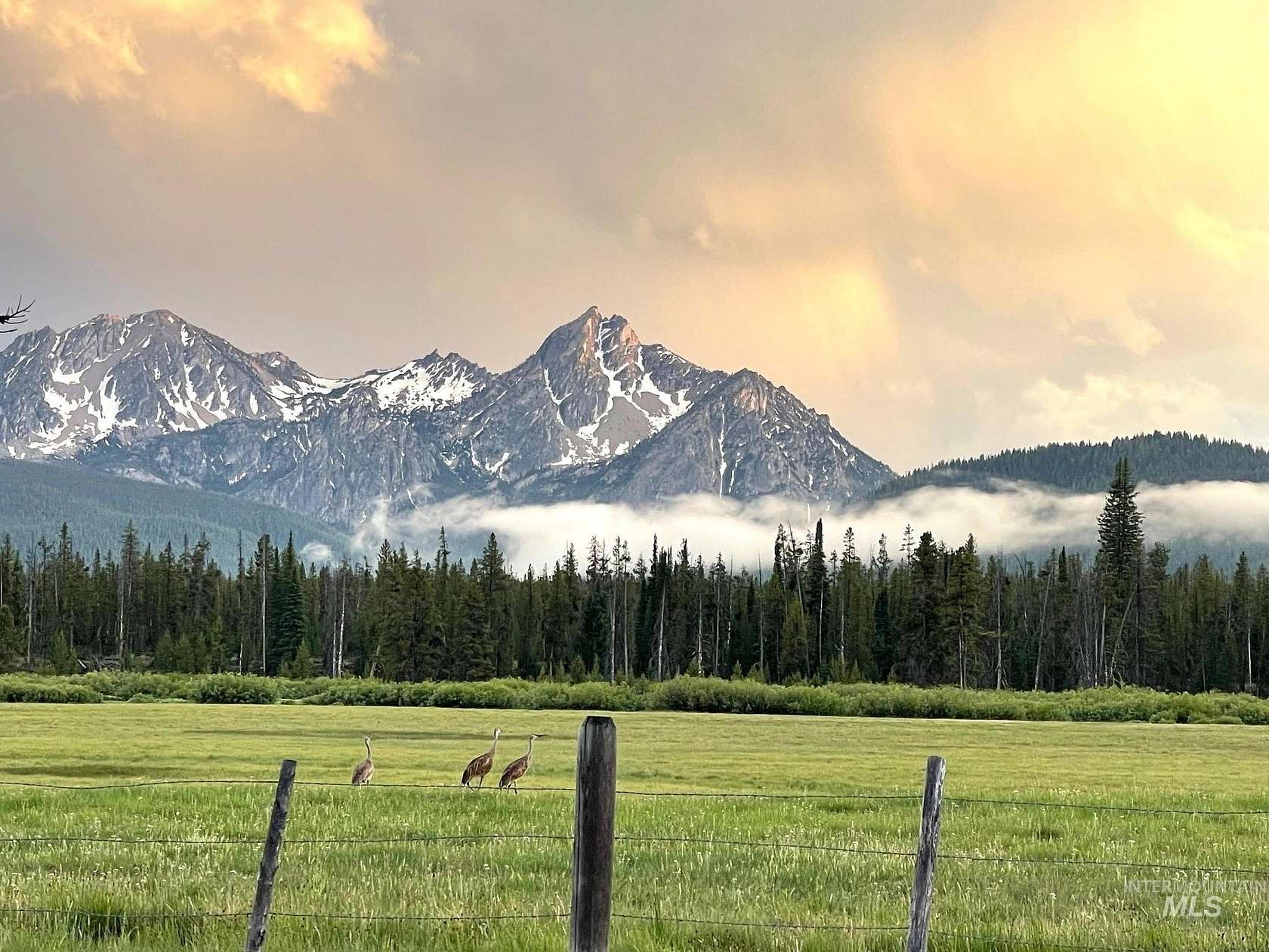 20.9 Acres of Land for Sale in Stanley, Idaho