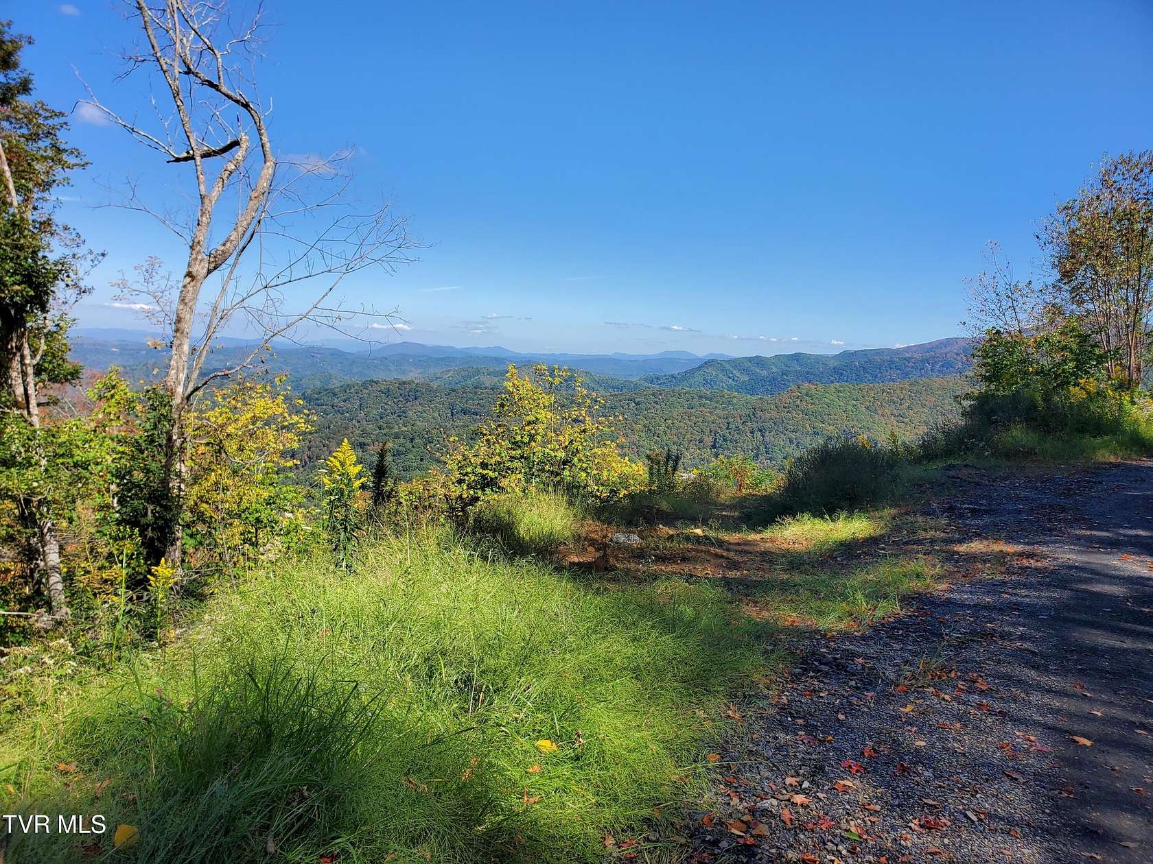 9.26 Acres of Residential Land for Sale in Roan Mountain, Tennessee
