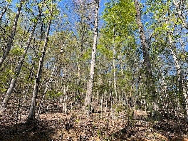 1.1 Acres of Residential Land for Sale in Hayesville, North Carolina