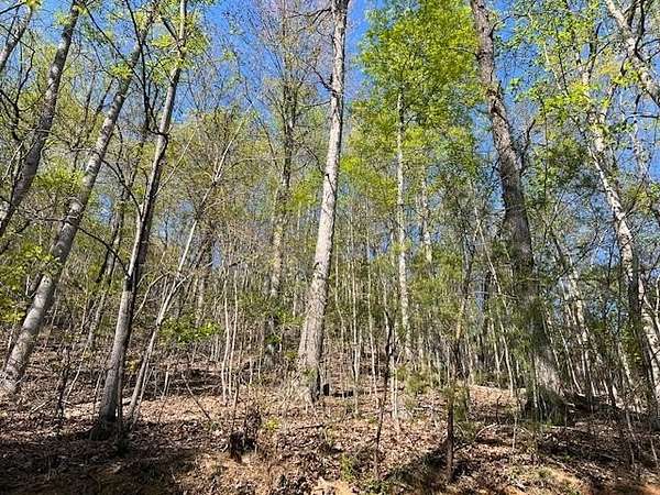 1.1 Acres of Residential Land for Sale in Hayesville, North Carolina