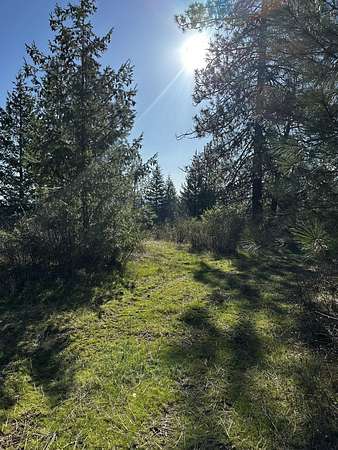 20 Acres of Recreational Land for Sale in Chattaroy, Washington