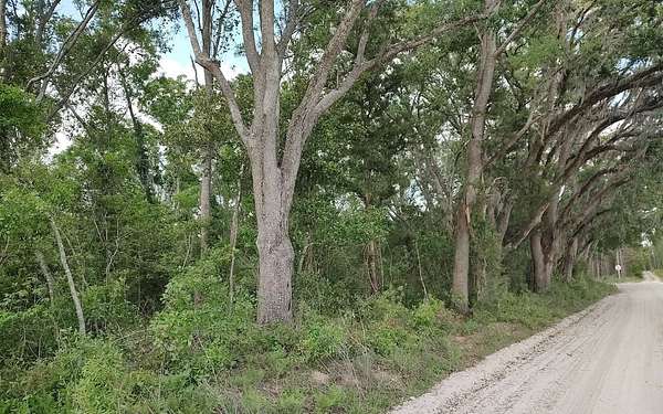 10 Acres of Land for Sale in Live Oak, Florida