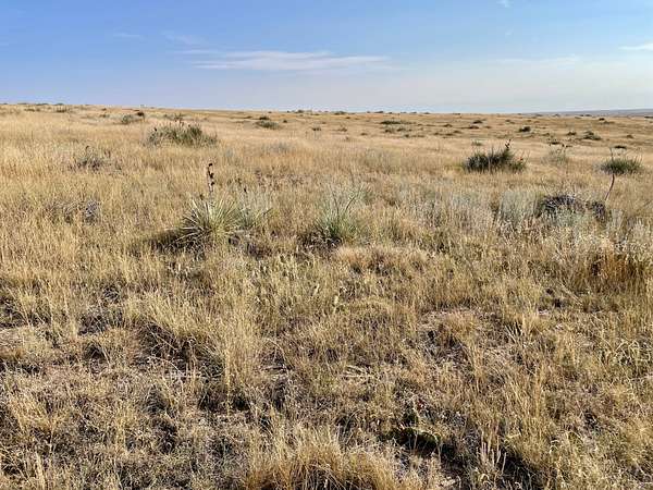 97 Acres of Recreational Land for Sale in Deer Trail, Colorado