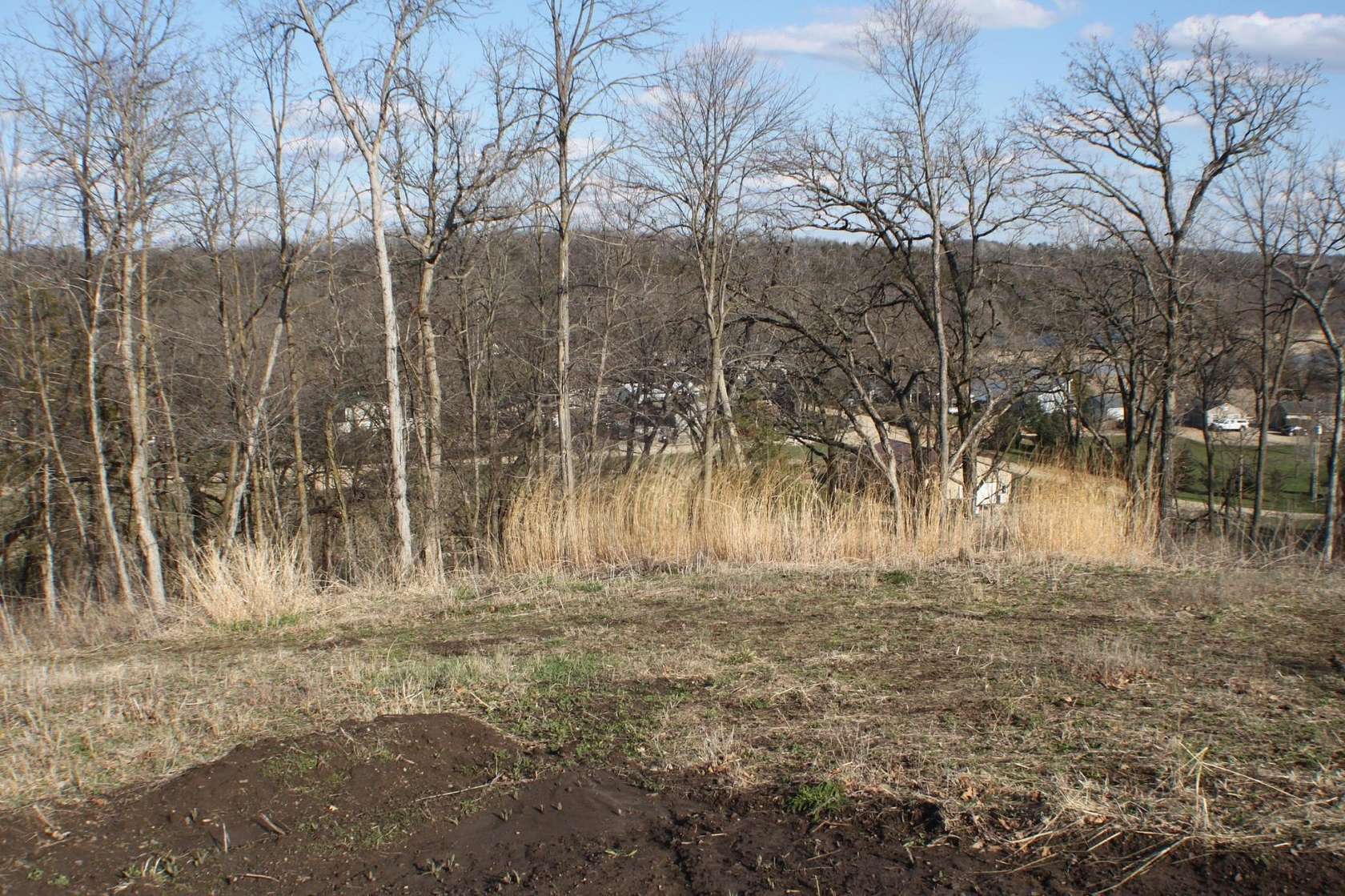 2.3 Acres of Land for Sale in Oronoco, Minnesota