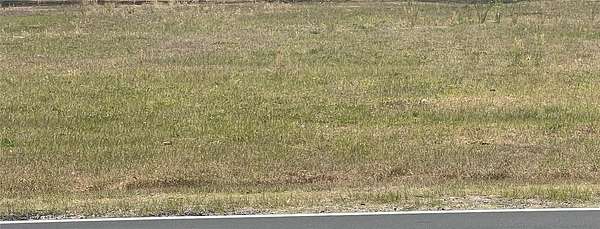 0.31 Acres of Residential Land for Sale in Summerfield, Florida