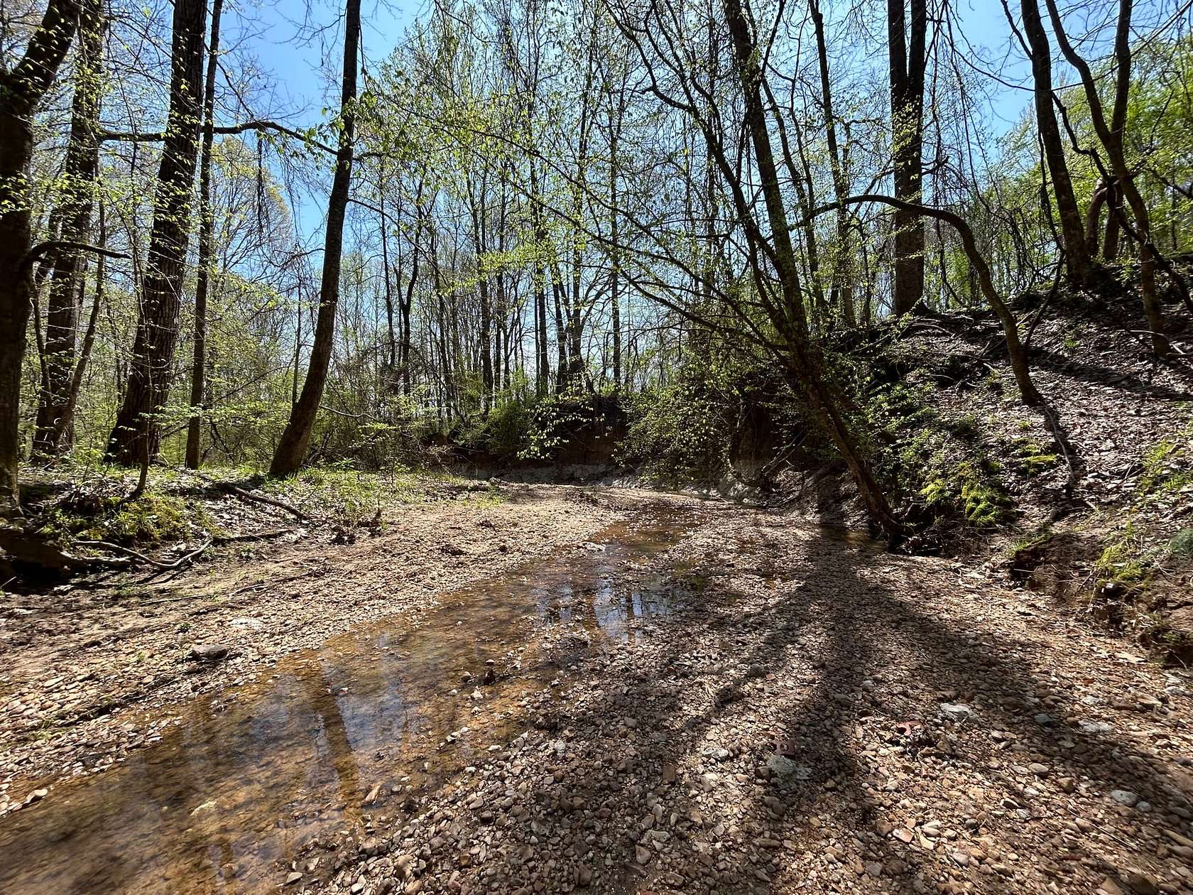 240 Acres of Recreational Land for Sale in Crenshaw, Mississippi