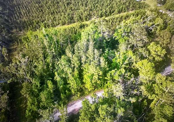 1 Acre of Residential Land for Sale in Pinetta, Florida