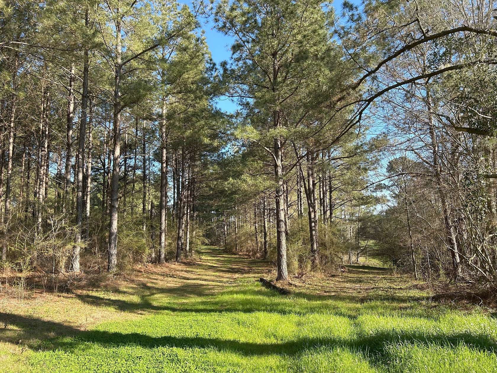 190 Acres of Recreational & Residential Land for Sale in Magee, Mississippi