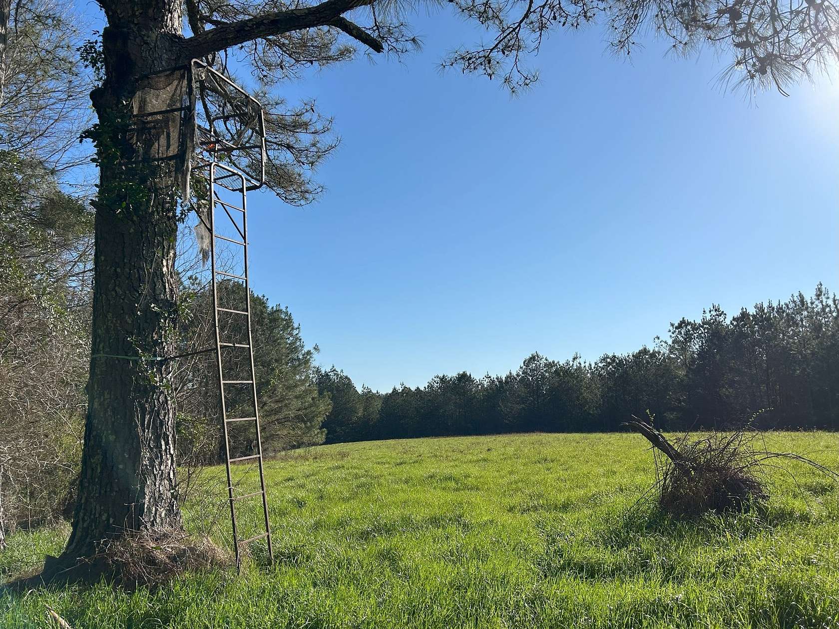 190 Acres of Recreational & Residential Land for Sale in Magee, Mississippi