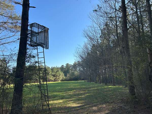 190 Acres of Recreational Land for Sale in Magee, Mississippi