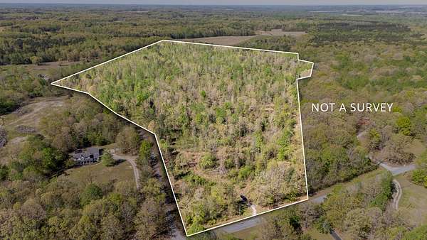 73.3 Acres of Land for Sale in Hollow Rock, Tennessee