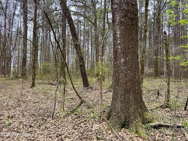4.59 Acres of Residential Land for Sale in Canton, Mississippi