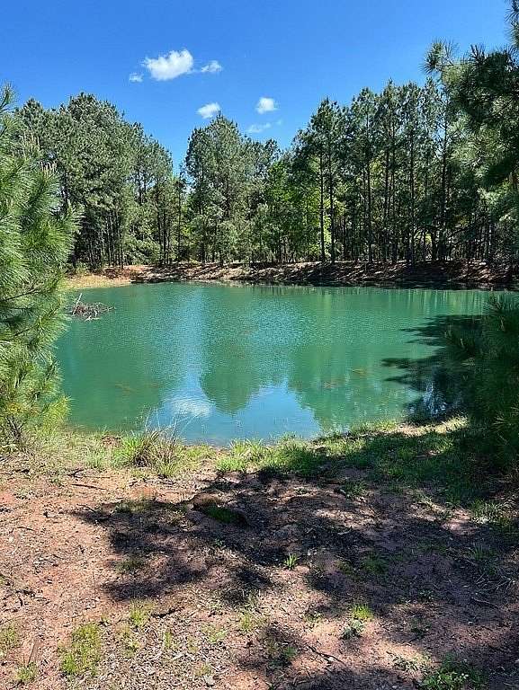 15 Acres of Land for Sale in New Ulm, Texas