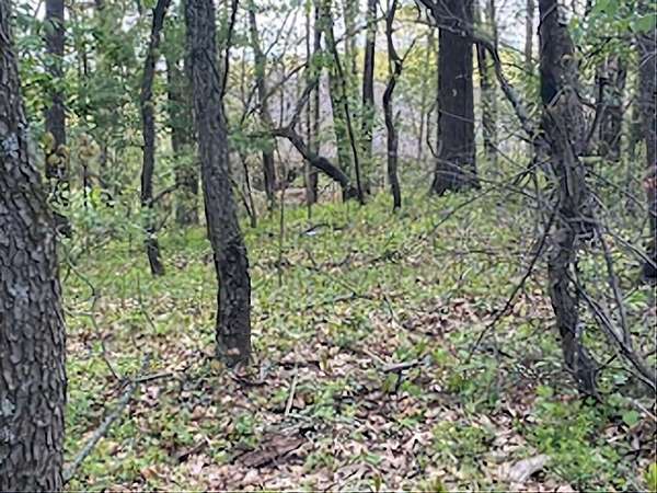 1.23 Acres of Residential Land for Sale in Wheatfield, Indiana