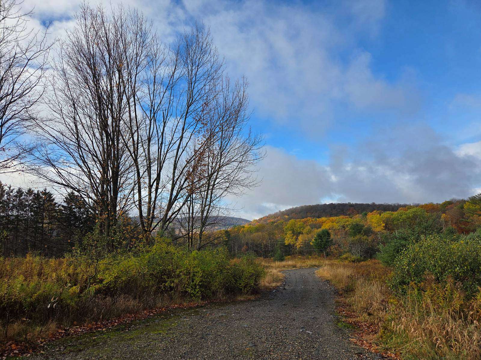 10 Acres of Residential Land for Sale in Harford, New York