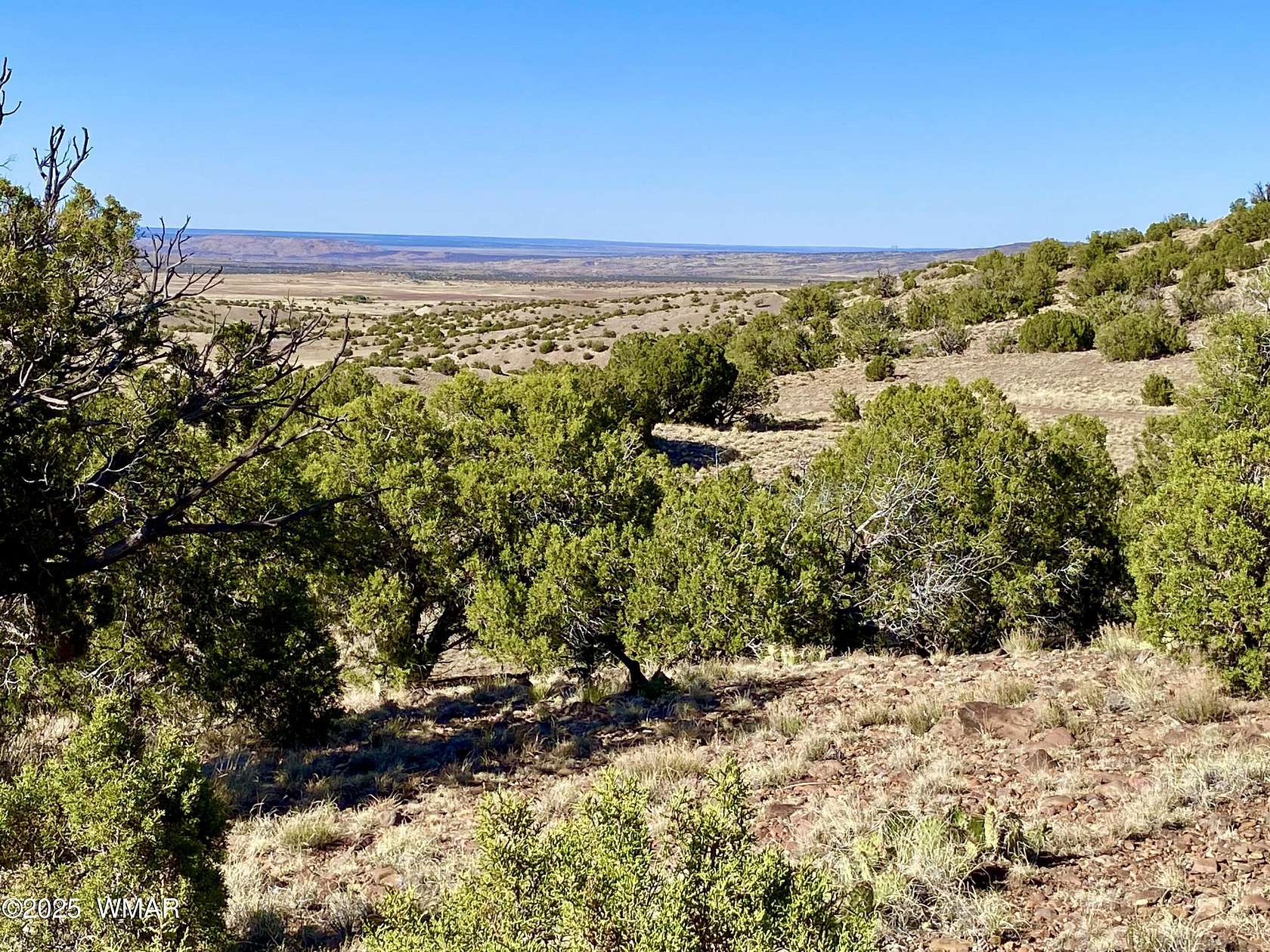 3.53 Acres of Residential Land for Sale in Concho, Arizona