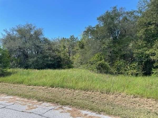 0.23 Acres of Residential Land for Sale in Kissimmee, Florida
