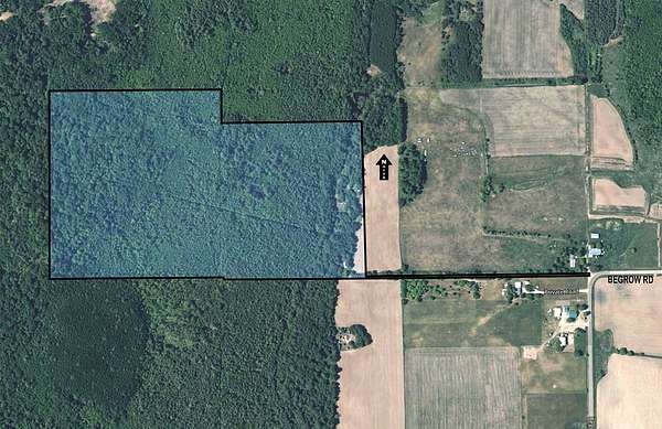 63.9 Acres of Recreational Land for Sale in Marion, Wisconsin